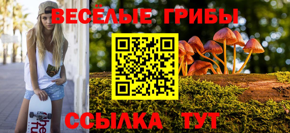 Псилоцибиновые грибы Cubensis Кудрово